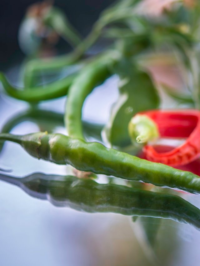 Poblano Peppers: A Staple In Mexican Cooking