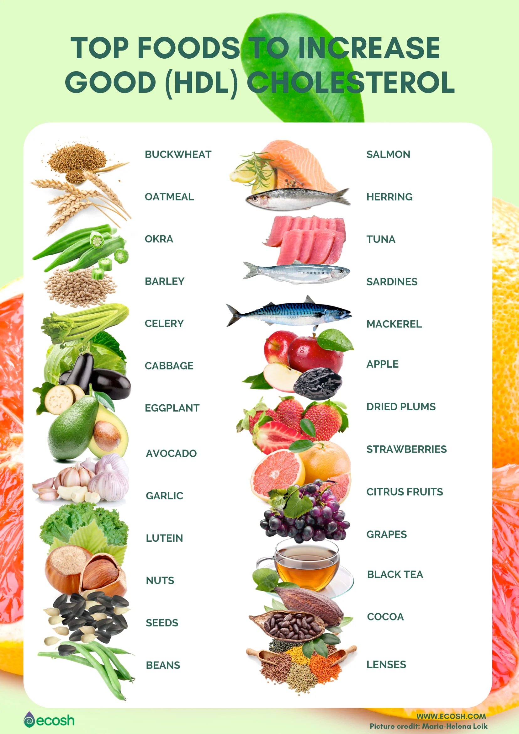 Top foods to increase good HDL cholesterol